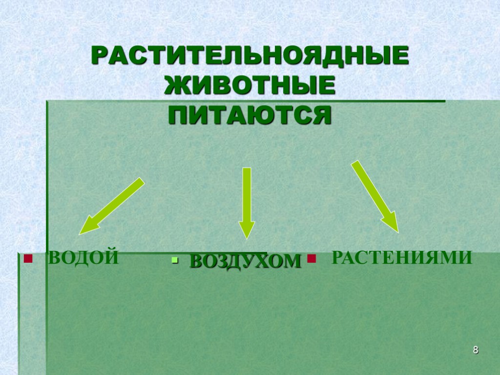 8 РАСТИТЕЛЬНОЯДНЫЕ ЖИВОТНЫЕ ПИТАЮТСЯ ВОЗДУХОМ РАСТЕНИЯМИ ВОДОЙ